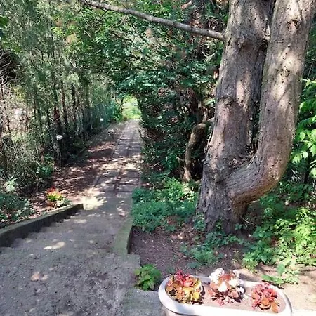 Nyaraló Panorama Kucko *