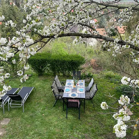 Panorama Kucko Semesterbostad *
